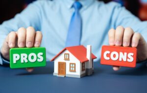 Pros and cons of a private house